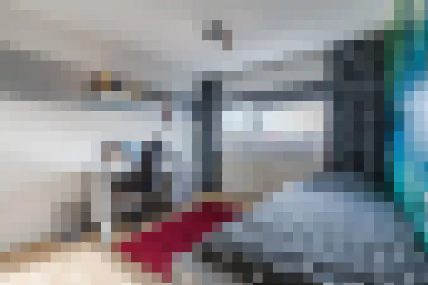 Klipper 33 Bergen op Zoom thumbnail 23