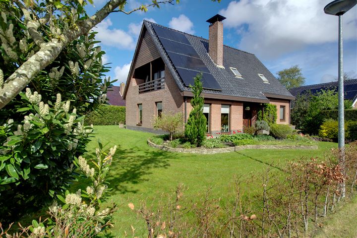 Klipper 4 in Uithuizen foto