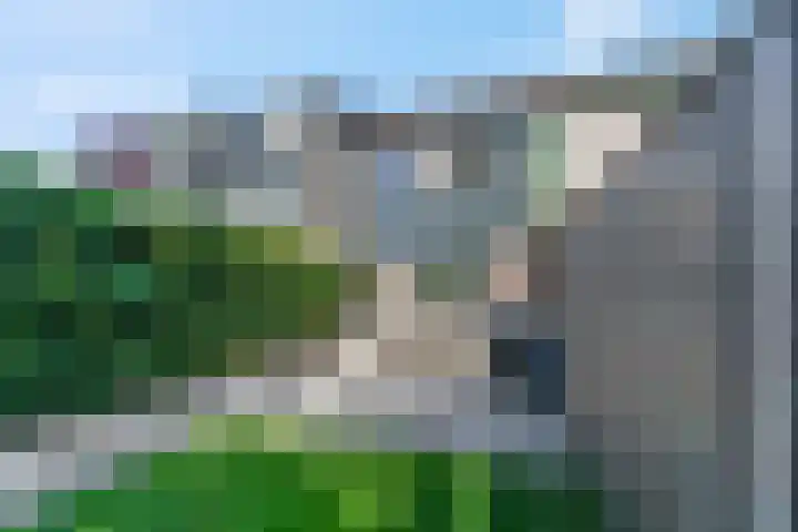 Klipper 43 Veenendaal thumbnail 27