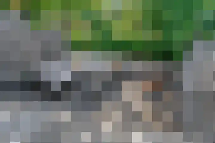 Klipper 43 Veenendaal thumbnail 31