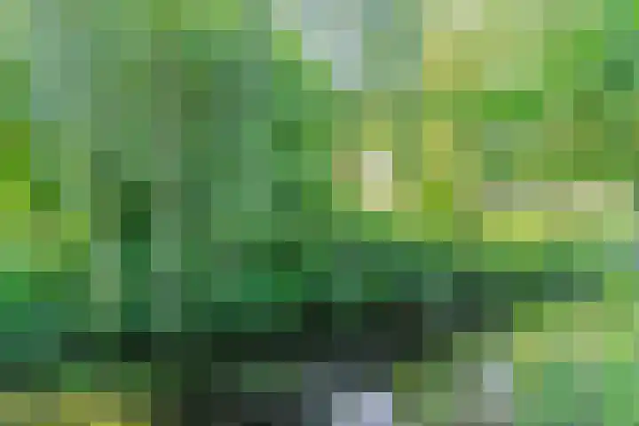 Klipper 43 Veenendaal thumbnail 34