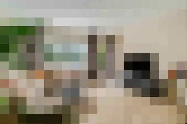 Klipper 43 Veenendaal thumbnail 4