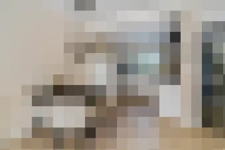 Klipper 43 Veenendaal thumbnail 7