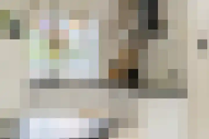 Klipper 43 Veenendaal thumbnail 8