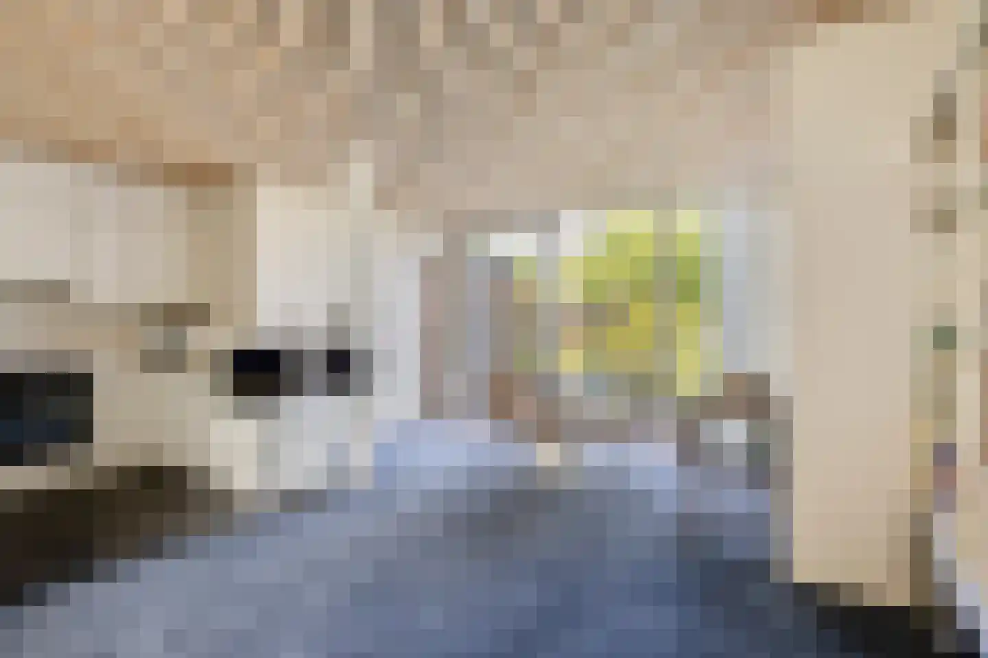 Klipper 5 Brielle thumbnail 10