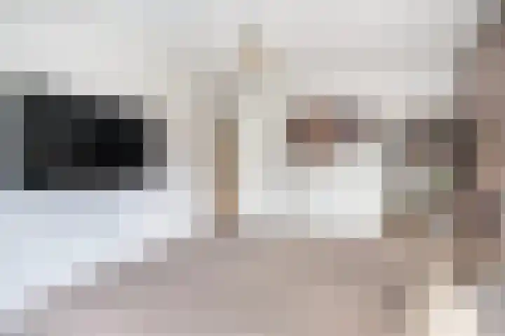 Klipper 50 Wijk bij Duurstede thumbnail 16