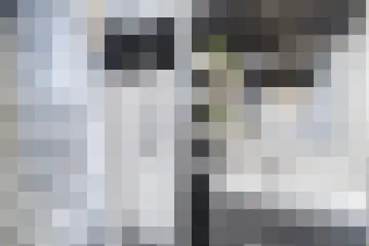 Klipper 50 Wijk bij Duurstede thumbnail 20