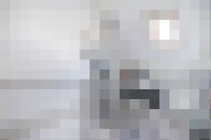 Klipper 50 Wijk bij Duurstede thumbnail 22