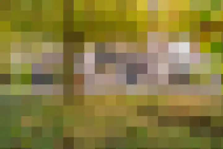 Klipper 50 Wijk bij Duurstede thumbnail 24