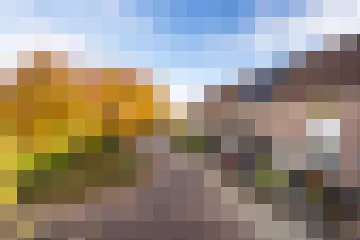 Klipper 50 Wijk bij Duurstede thumbnail 25