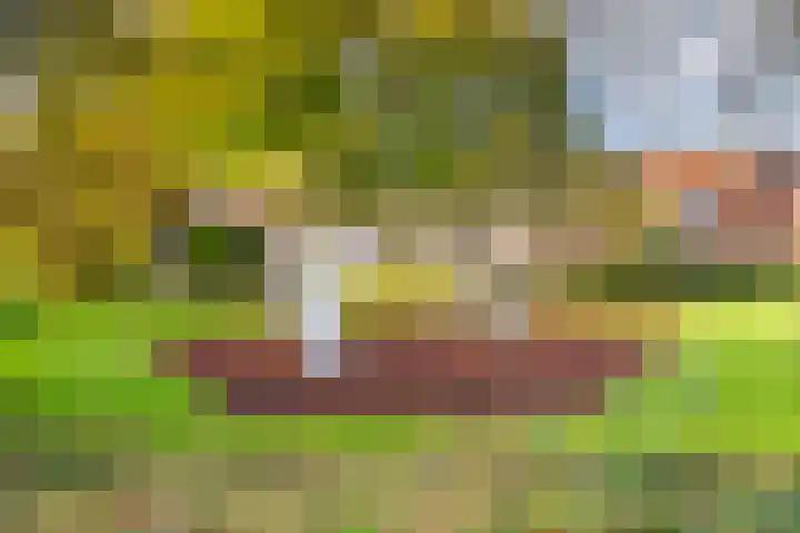 Klipper 50 Wijk bij Duurstede thumbnail 26