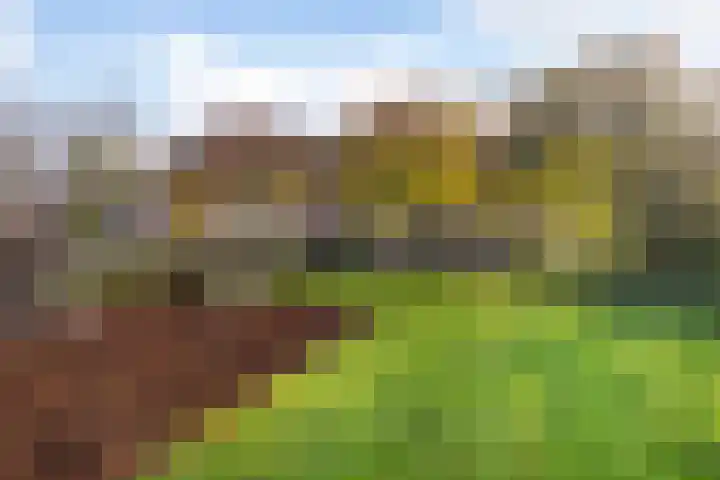 Klipper 50 Wijk bij Duurstede thumbnail 27