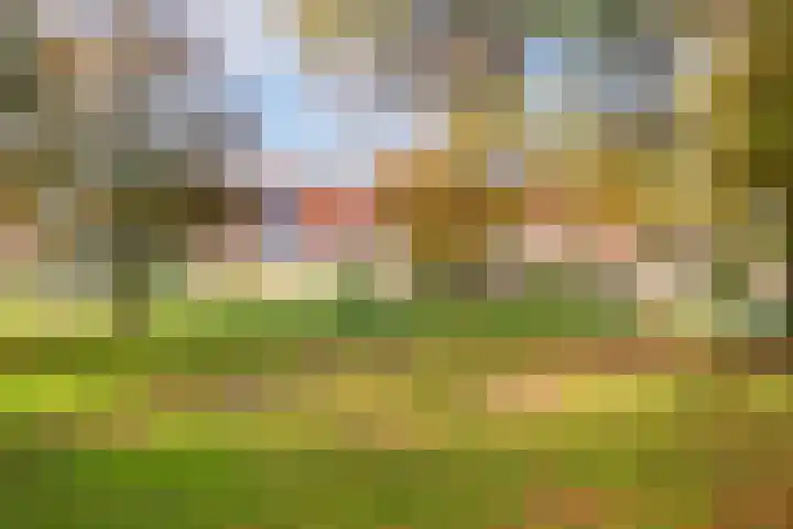 Klipper 50 Wijk bij Duurstede thumbnail 28