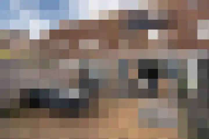 Klipper 50 Wijk bij Duurstede thumbnail 9