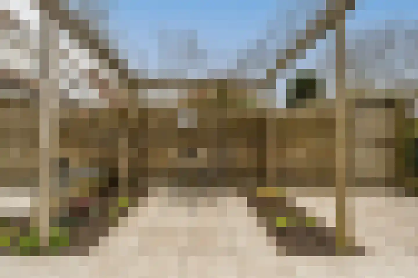 Klipper 55 Oud-Beijerland thumbnail 34