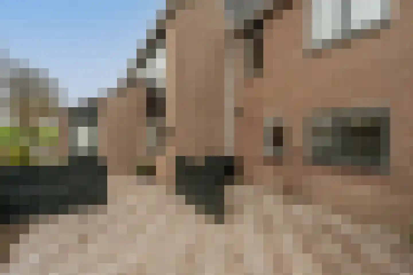 Klipper 55 Oud-Beijerland thumbnail 38