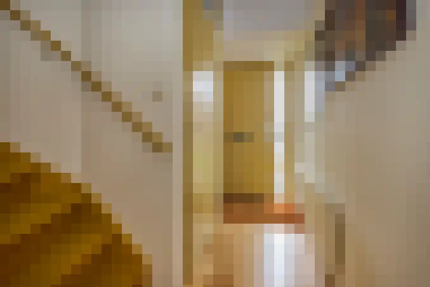Klipper 65 De Rijp thumbnail 11