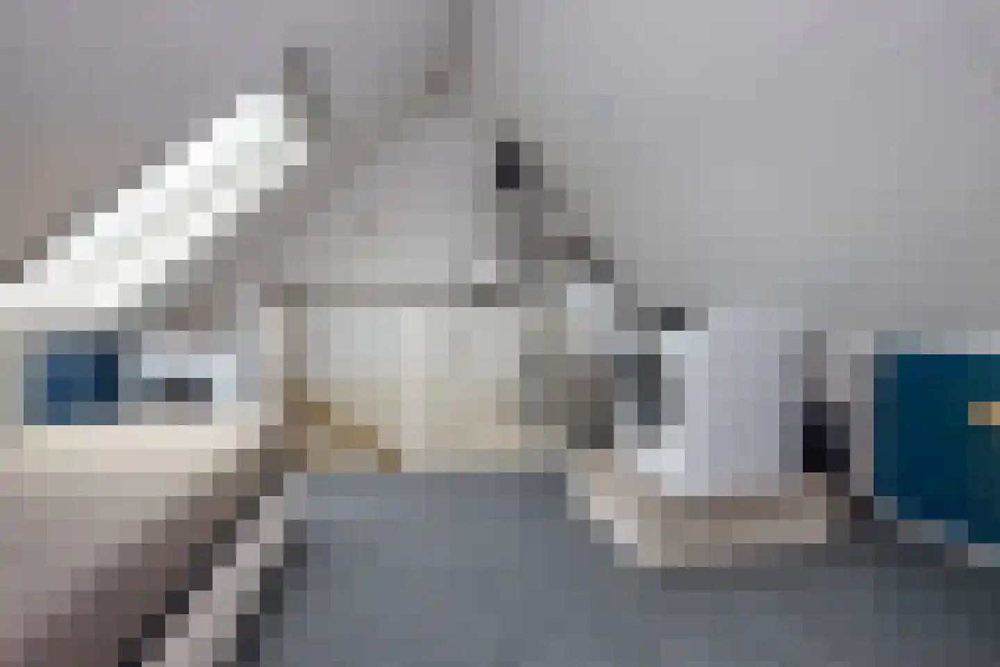 Klipper 65 De Rijp thumbnail 42