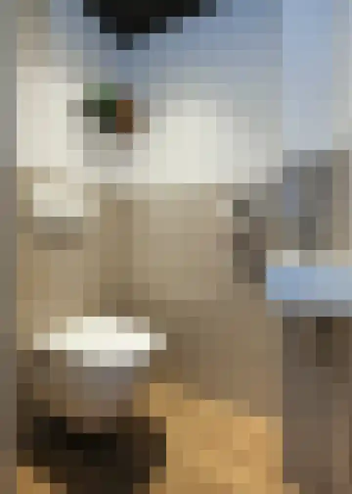 Klipper 7 Obdam thumbnail 14
