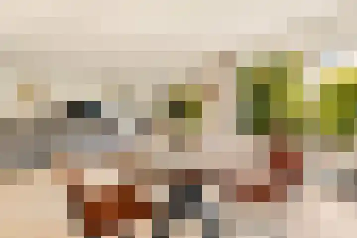 Klipper 7 Velserbroek thumbnail 11