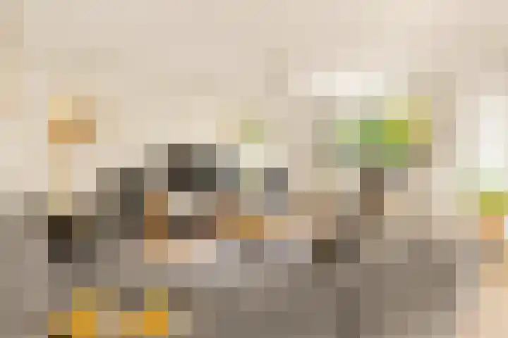 Klipper 7 Velserbroek thumbnail 15