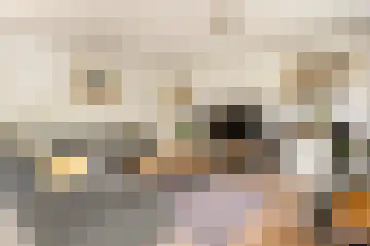 Klipper 7 Velserbroek thumbnail 16