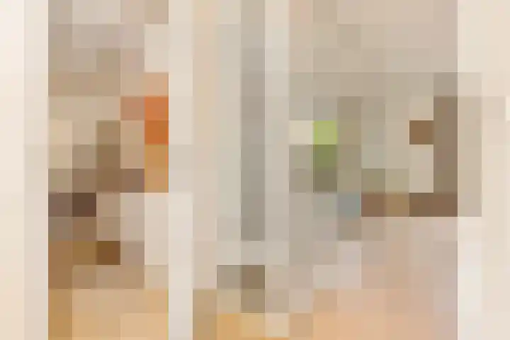 Klipper 7 Velserbroek thumbnail 22