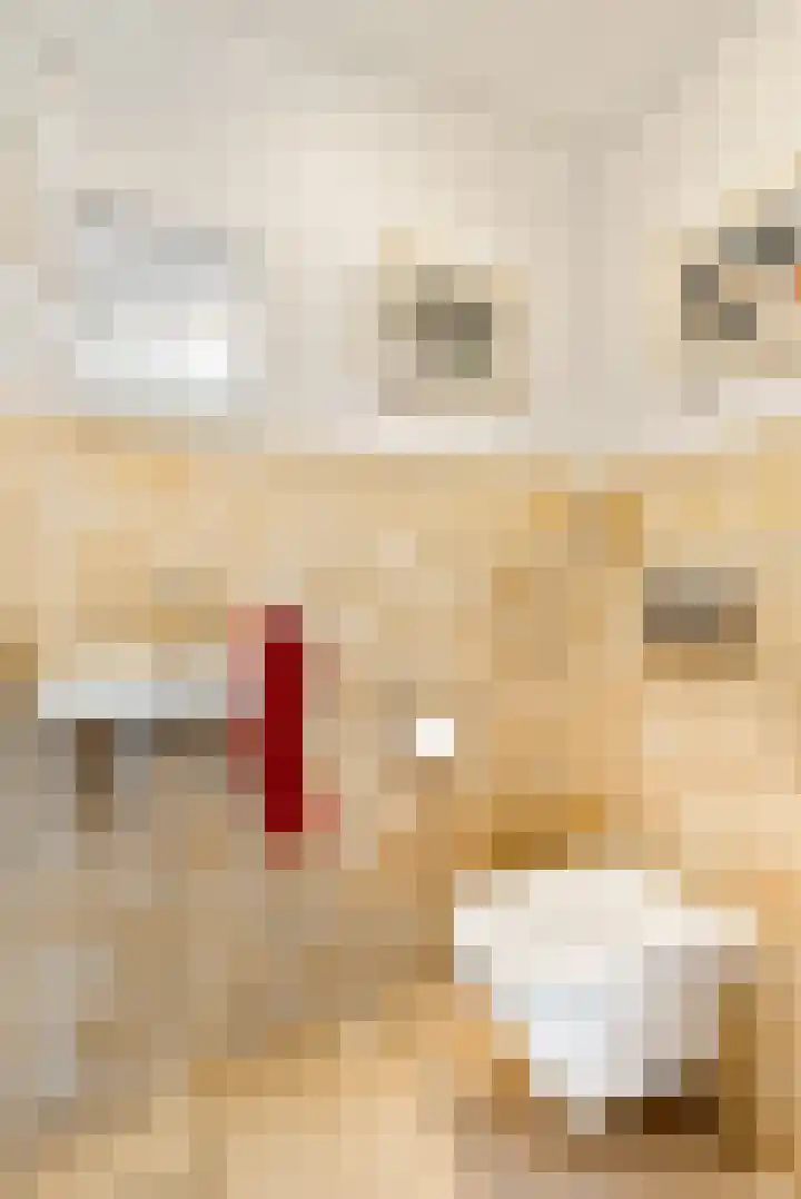 Klipper 7 Velserbroek thumbnail 28