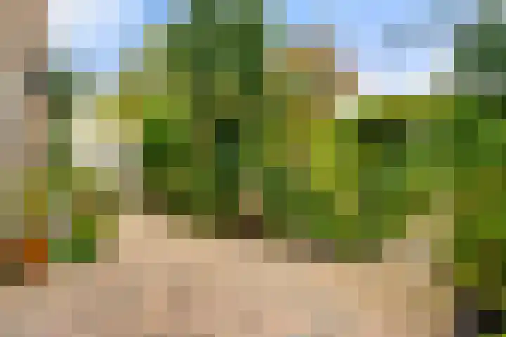 Klipper 7 Velserbroek thumbnail 29
