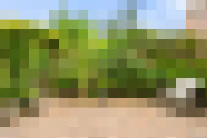 Klipper 7 Velserbroek thumbnail 30