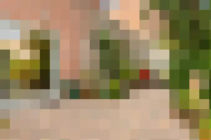 Klipper 7 Velserbroek thumbnail 31