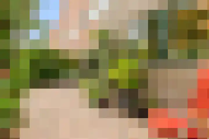 Klipper 7 Velserbroek thumbnail 32