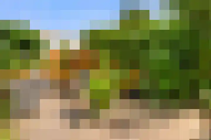 Klipper 7 Velserbroek thumbnail 34