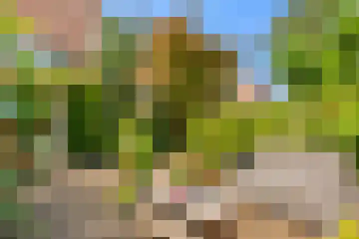 Klipper 7 Velserbroek thumbnail 35