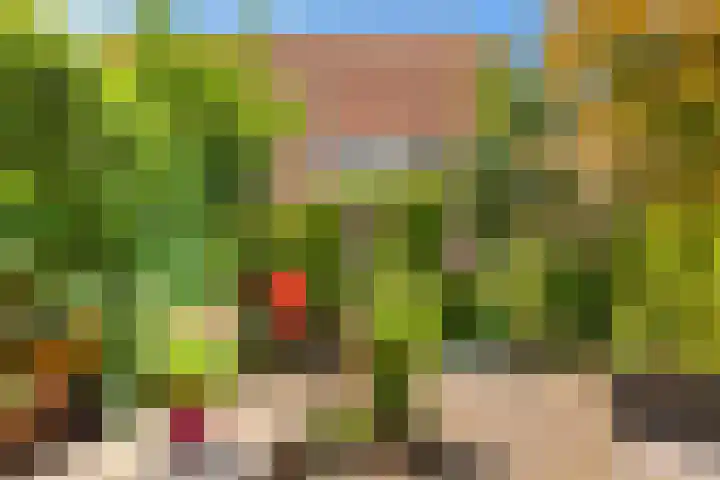 Klipper 7 Velserbroek thumbnail 36