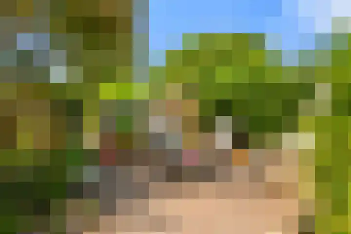Klipper 7 Velserbroek thumbnail 37