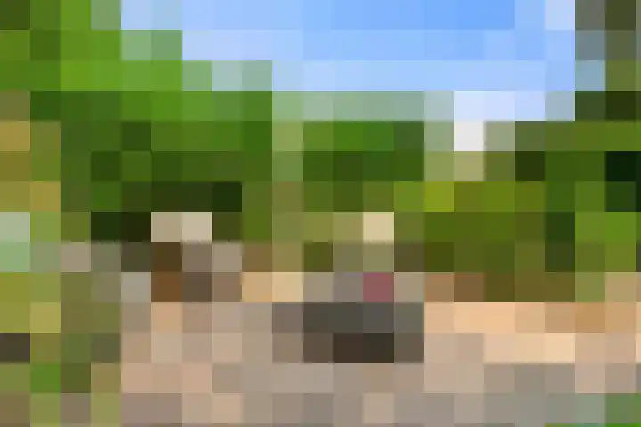 Klipper 7 Velserbroek thumbnail 38