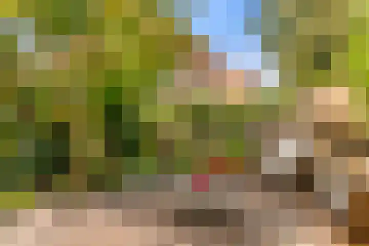 Klipper 7 Velserbroek thumbnail 39
