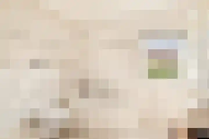 Klipper 7 Velserbroek thumbnail 41