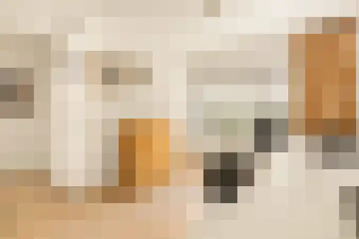 Klipper 7 Velserbroek thumbnail 45