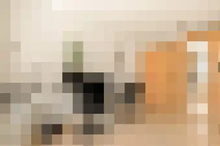 Klipper 7 Velserbroek thumbnail 46