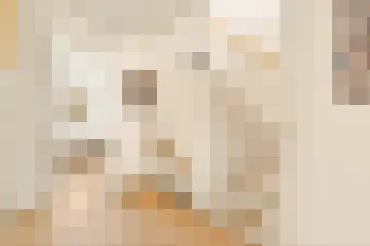 Klipper 7 Velserbroek thumbnail 47