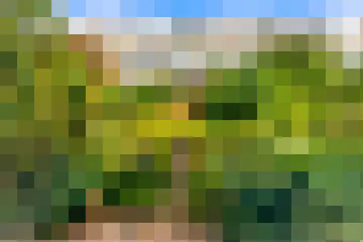 Klipper 7 Velserbroek thumbnail 51