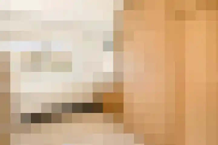 Klipper 7 Velserbroek thumbnail 52