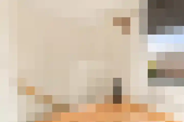Klipper 7 Velserbroek thumbnail 55