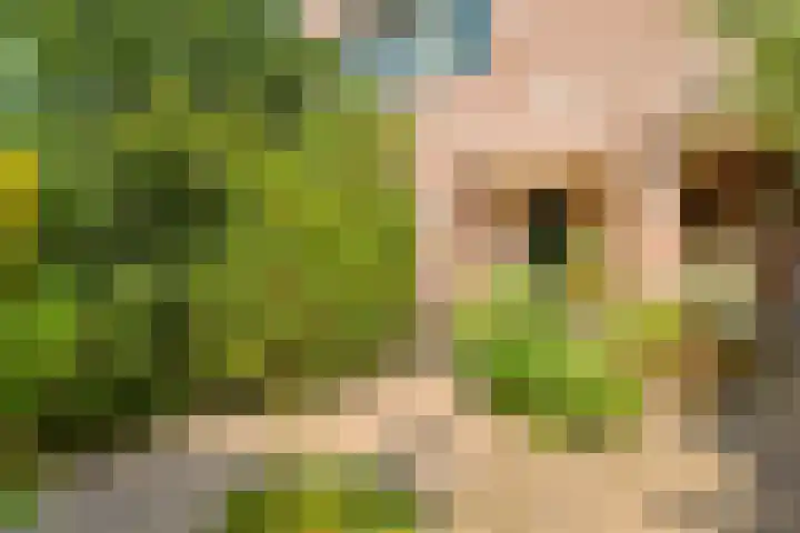 Klipper 7 Velserbroek thumbnail 7