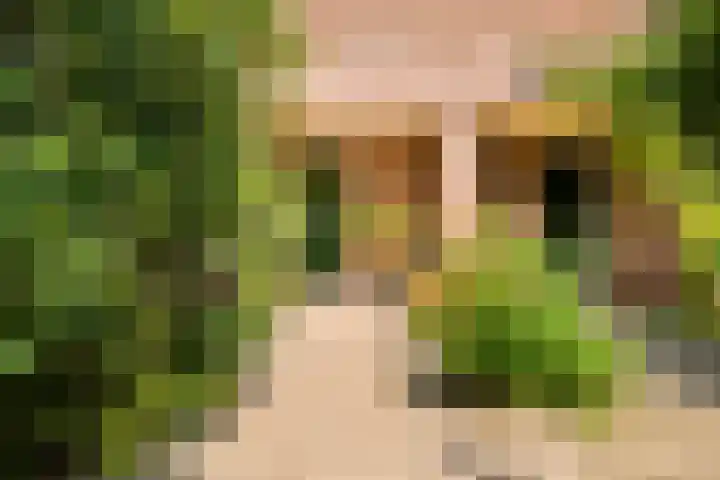 Klipper 7 Velserbroek thumbnail 8