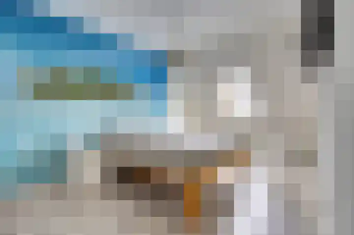 Klipper 70 Wijk bij Duurstede thumbnail 14