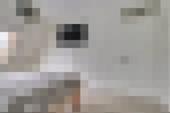 Klipper 70 Wijk bij Duurstede thumbnail 15