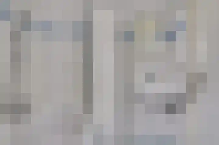 Klipper 70 Wijk bij Duurstede thumbnail 20